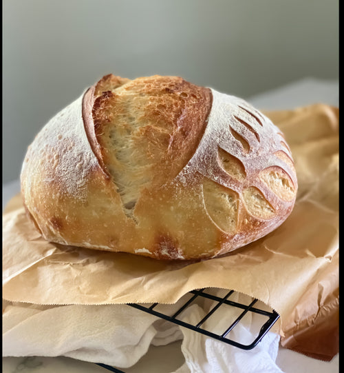 1847 Oregon trail Sourdough Starter