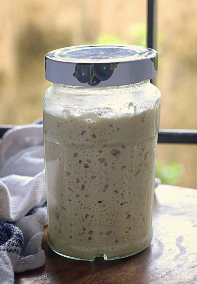 1847 Oregon trail Sourdough Starter